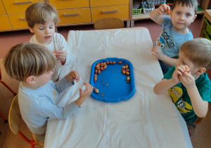 "Zielony ogródek parapetowy' - projekt edukacyjny w grupie IX