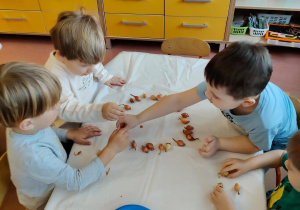 "Zielony ogródek parapetowy' - projekt edukacyjny w grupie IX