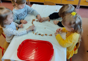 "Zielony ogródek parapetowy' - projekt edukacyjny w grupie IX