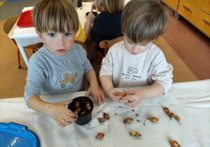 "Zielony ogródek parapetowy' - projekt edukacyjny w grupie IX