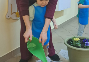 "Zielony ogródek parapetowy' - projekt edukacyjny w grupie IX