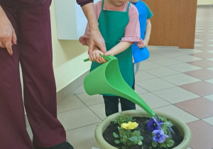 "Zielony ogródek parapetowy' - projekt edukacyjny w grupie IX