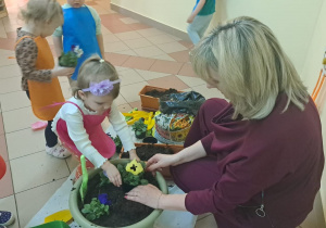 "Zielony ogródek parapetowy' - projekt edukacyjny w grupie IX