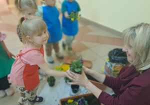 "Zielony ogródek parapetowy' - projekt edukacyjny w grupie IX