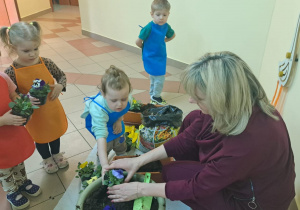 "Zielony ogródek parapetowy' - projekt edukacyjny w grupie IX