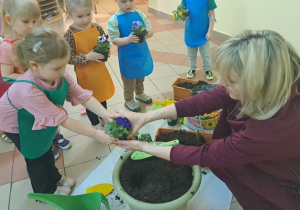 "Zielony ogródek parapetowy' - projekt edukacyjny w grupie IX