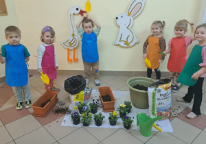 "Zielony ogródek parapetowy' - projekt edukacyjny w grupie IX