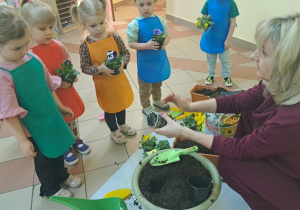 "Zielony ogródek parapetowy' - projekt edukacyjny w grupie IX