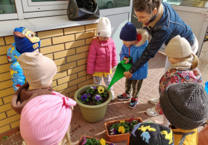 "Zielony ogródek parapetowy' - projekt edukacyjny w grupie IX