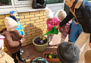 "Zielony ogródek parapetowy' - projekt edukacyjny w grupie IX