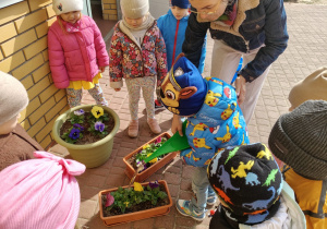 "Zielony ogródek parapetowy' - projekt edukacyjny w grupie IX