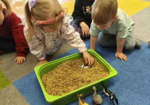 "Zielony ogródek parapetowy' - projekt edukacyjny w grupie IX