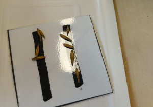 "Zielony ogródek parapetowy' - projekt edukacyjny w grupie IX