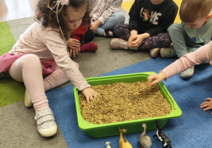 "Zielony ogródek parapetowy' - projekt edukacyjny w grupie IX