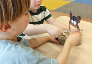 "Zielony ogródek parapetowy' - projekt edukacyjny w grupie IX