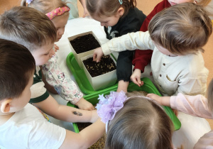 "Zielony ogródek parapetowy' - projekt edukacyjny w grupie IX