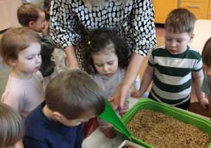 "Zielony ogródek parapetowy' - projekt edukacyjny w grupie IX