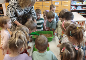 "Zielony ogródek parapetowy' - projekt edukacyjny w grupie IX