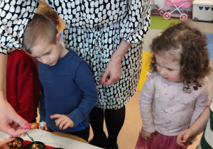 "Zielony ogródek parapetowy' - projekt edukacyjny w grupie IX