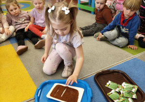 "Zielony ogródek parapetowy' - projekt edukacyjny w grupie IX