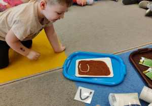 "Zielony ogródek parapetowy' - projekt edukacyjny w grupie IX