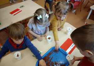 "Zielony ogródek parapetowy' - projekt edukacyjny w grupie IX