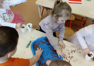 "Zielony ogródek parapetowy' - projekt edukacyjny w grupie IX