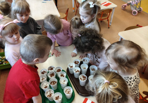 "Zielony ogródek parapetowy' - projekt edukacyjny w grupie IX