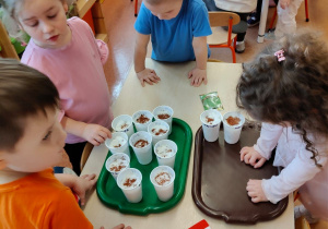 "Zielony ogródek parapetowy' - projekt edukacyjny w grupie IX