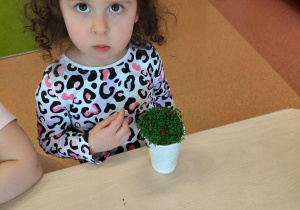 "Zielony ogródek parapetowy' - projekt edukacyjny w grupie IX