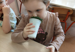 "Zielony ogródek parapetowy' - projekt edukacyjny w grupie IX