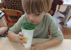 "Zielony ogródek parapetowy' - projekt edukacyjny w grupie IX