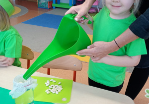 "Zielony ogródek parapetowy' - projekt edukacyjny w grupie IX