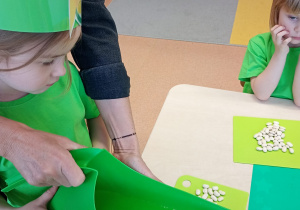 "Zielony ogródek parapetowy' - projekt edukacyjny w grupie IX