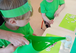 "Zielony ogródek parapetowy' - projekt edukacyjny w grupie IX