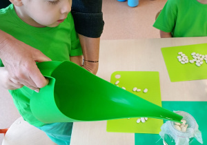 "Zielony ogródek parapetowy' - projekt edukacyjny w grupie IX