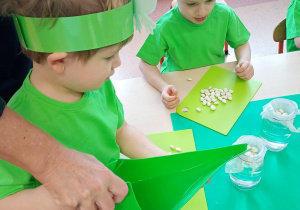 "Zielony ogródek parapetowy' - projekt edukacyjny w grupie IX