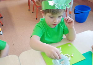 "Zielony ogródek parapetowy' - projekt edukacyjny w grupie IX