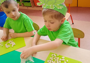 "Zielony ogródek parapetowy' - projekt edukacyjny w grupie IX