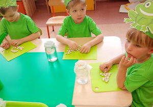 "Zielony ogródek parapetowy' - projekt edukacyjny w grupie IX