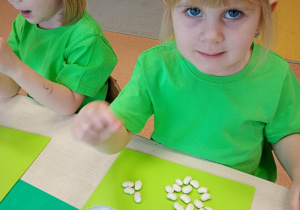 "Zielony ogródek parapetowy' - projekt edukacyjny w grupie IX