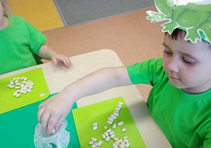 "Zielony ogródek parapetowy' - projekt edukacyjny w grupie IX