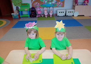 "Zielony ogródek parapetowy' - projekt edukacyjny w grupie IX