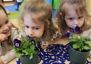 „Pierwsze wiosenne kwiatki” – sensorycznie i artystycznie w grupie I maluszków