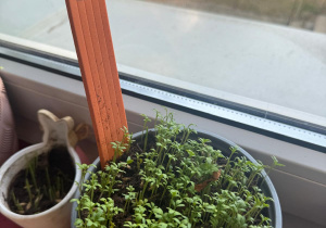 Projekt edukacyjny ,Witaj wiosno!"