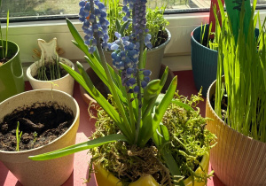 Projekt edukacyjny ,Witaj wiosno!"