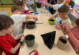 Projekt edukacyjny ,Witaj wiosno!"