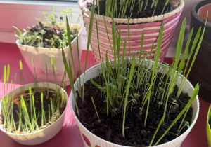 Projekt edukacyjny ,Witaj wiosno!"