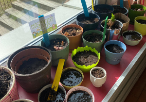 Projekt edukacyjny ,Witaj wiosno!"