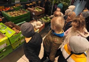 Grupa II i MISJA SKLEP! - Ogólnopolski Program Edukacyjny „Kubusiowi Przyjaciele Natury”